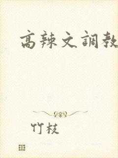 高辣文调教np