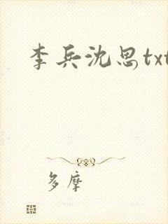 李兵沈思txt