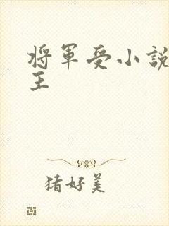 将军受小说双男主