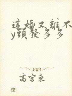 这婚又离不了by头发多多