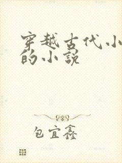 穿越古代小铁匠的小说