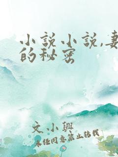 小说小说,妻子的秘密