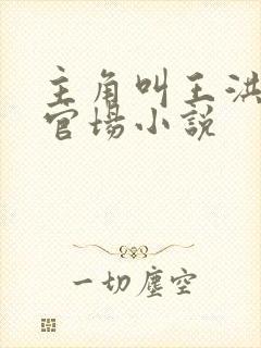 主角叫王洪涛的官场小说