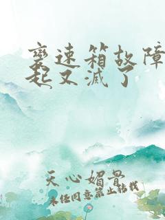 变速箱故障灯亮起又灭了