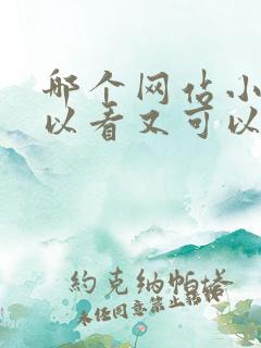 哪个网站小说可以看又可以听