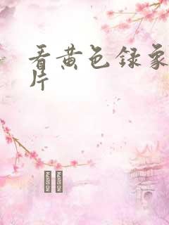 看黄色录象一级片