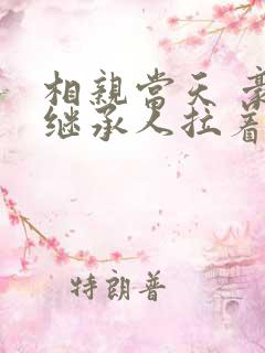 相亲当天 豪门继承人拉着我领证