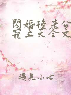 闪婚后老公每天宠上天全文免费阅读