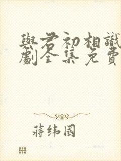 与君初相识电视剧全集免费播放