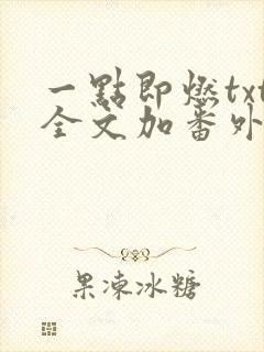 一点即燃txt全文加番外