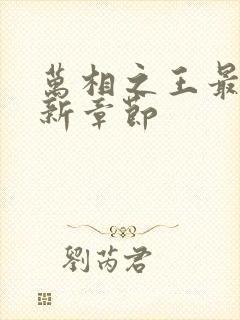 万相之王最近更新章节