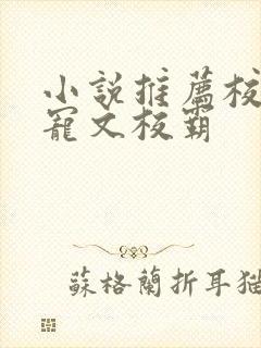 小说推荐校园甜宠文校霸