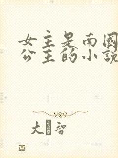 女主是南国和亲公主的小说