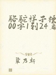 骆驼祥子梗概100字1到24篇