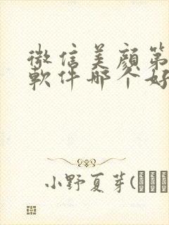 微信美颜第三方软件哪个好