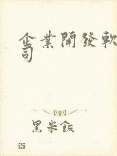 企业开发软件公司