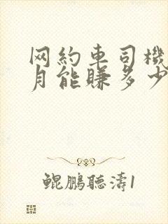 网约车司机一个月能赚多少