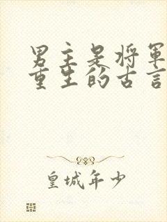 男主是将军女主重生的古言