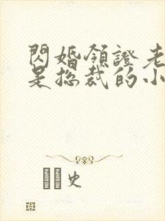 闪婚领证老公竟是总裁的小说