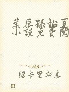 叶辰孙怡夏若雪小说免费阅读最新