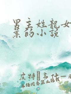 男主姓龙女主姓叶的小说