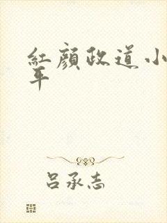 红颜政道小说周平