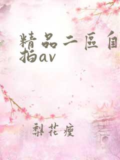 精品二区自拍偷拍av