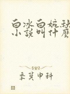 白冰白婉秋原著小说叫什么名字