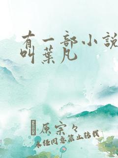 有一部小说主角叫叶凡