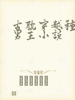 古耽穿越种田双男主小说