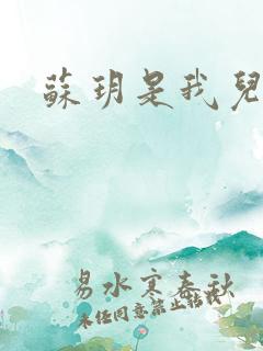 苏玥是我儿媳