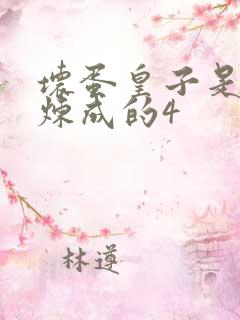 坏蛋皇子是怎样炼成的4