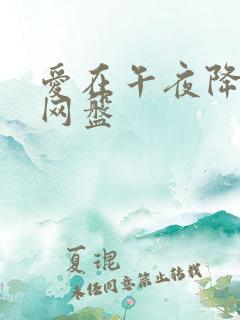 爱在午夜降临前网盘