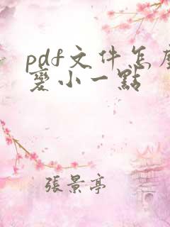 pdf文件怎么变小一点