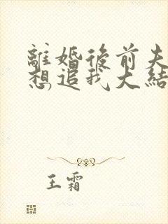 离婚后前夫总是想追我大结局