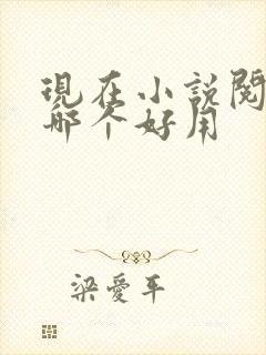 现在小说阅读器哪个好用