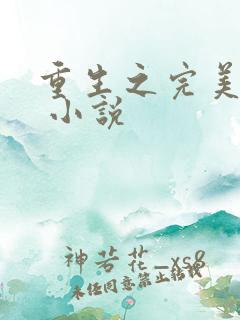 重生之完美时代 小说