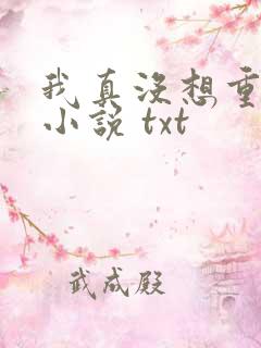 我真没想重生啊小说 txt