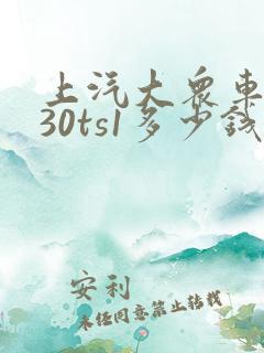 上汽大众车型330ts1多少钱