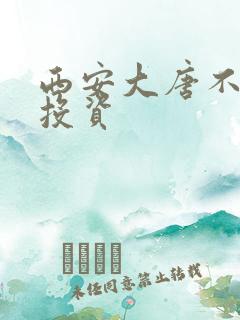 西安大唐不夜城投资