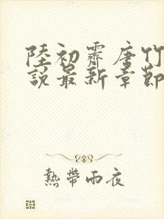 陆初霁唐竹心小说最新章节免费阅读