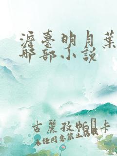 澹台明月叶玄是哪部小说