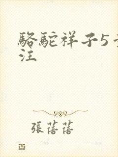 骆驼祥子5章批注