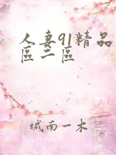 人妻91精品一区二区