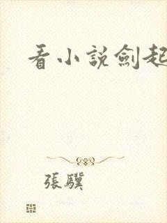 看小说剑起风云