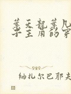 叶天龙叶凡九皇子主角的穿越小说免费阅读