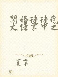 闪婚后后我成了大佬掌中之物