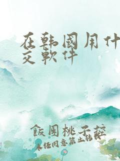 在韩国用什么社交软件