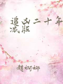 追凶二十年未删减版