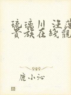琉璃川 没落的贵族在线观看